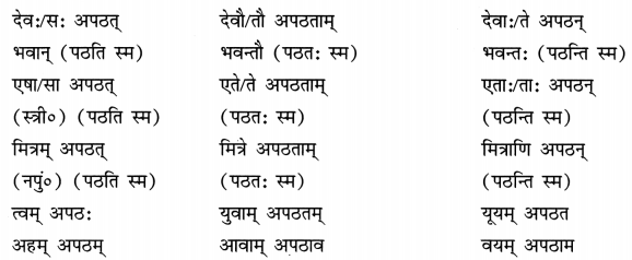 Class 8 Sanskrit Grammar Book Solutions धातुरूप-प्रकरणम् 3