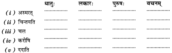MCQ Questions for Class 7 Sanskrit Chapter 14 अनारिकायाः जिज्ञासा with Answers 1