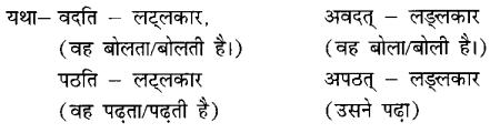 बकस्य प्रतिकारः Summary Notes Class 6 Sanskrit Chapter 7