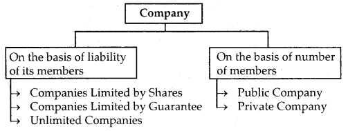 Accounting for Share Capital Class 12 Notes Accountancy 1