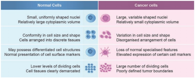 Autoimmune Diseases img 1