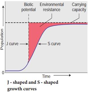 Growth Models Curves img 1