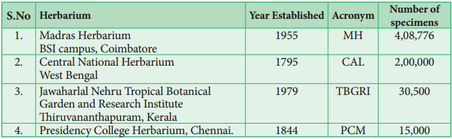 Herbarium - Preparation and Uses img 3
