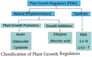 Plant Growth Regulators img 1