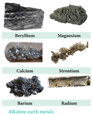 Alkali Earth Metals img 1