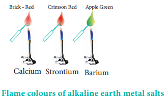 Alkali Earth Metals img 6