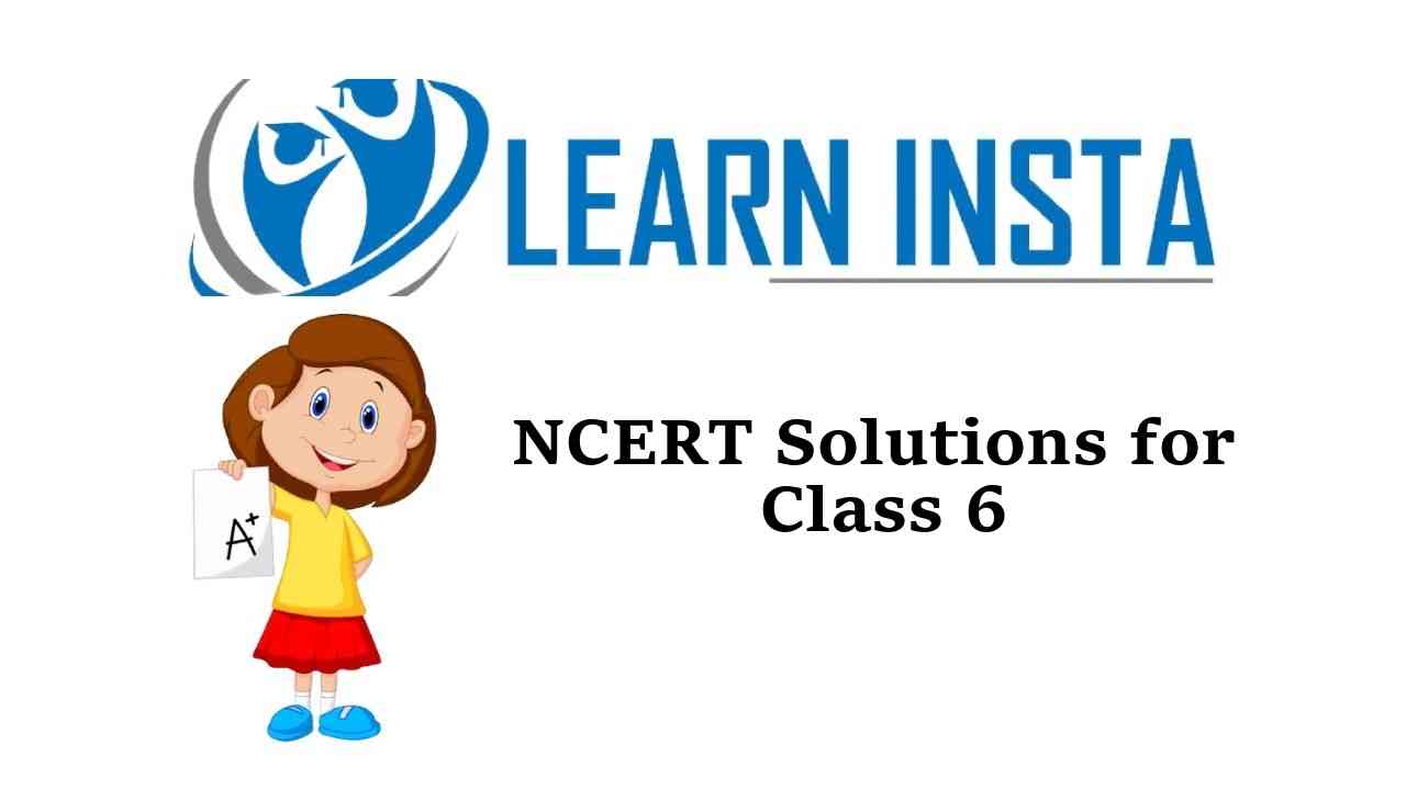 NCERT Solutions for Class 6