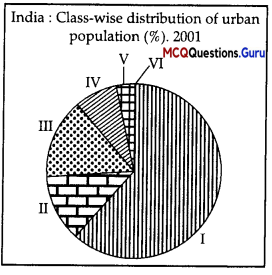 MCQ Questions for Class 12 Geography Chapter 4 Human Settlements - 1
