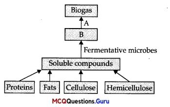 Microbes In Human Welfare MCQ Class 12 