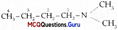 Class 12 Chemistry Chapter 13 MCQ