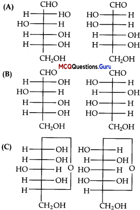 Biomolecules Class 12 MCQ Chapter 14 